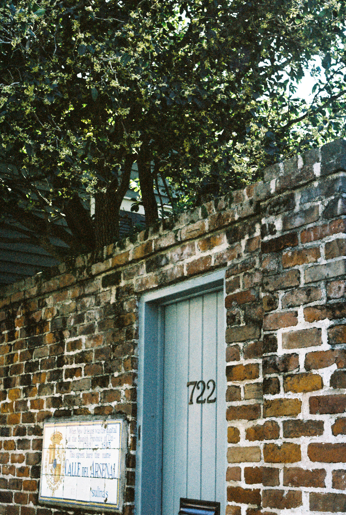 Ursulines Avenue. 2025.