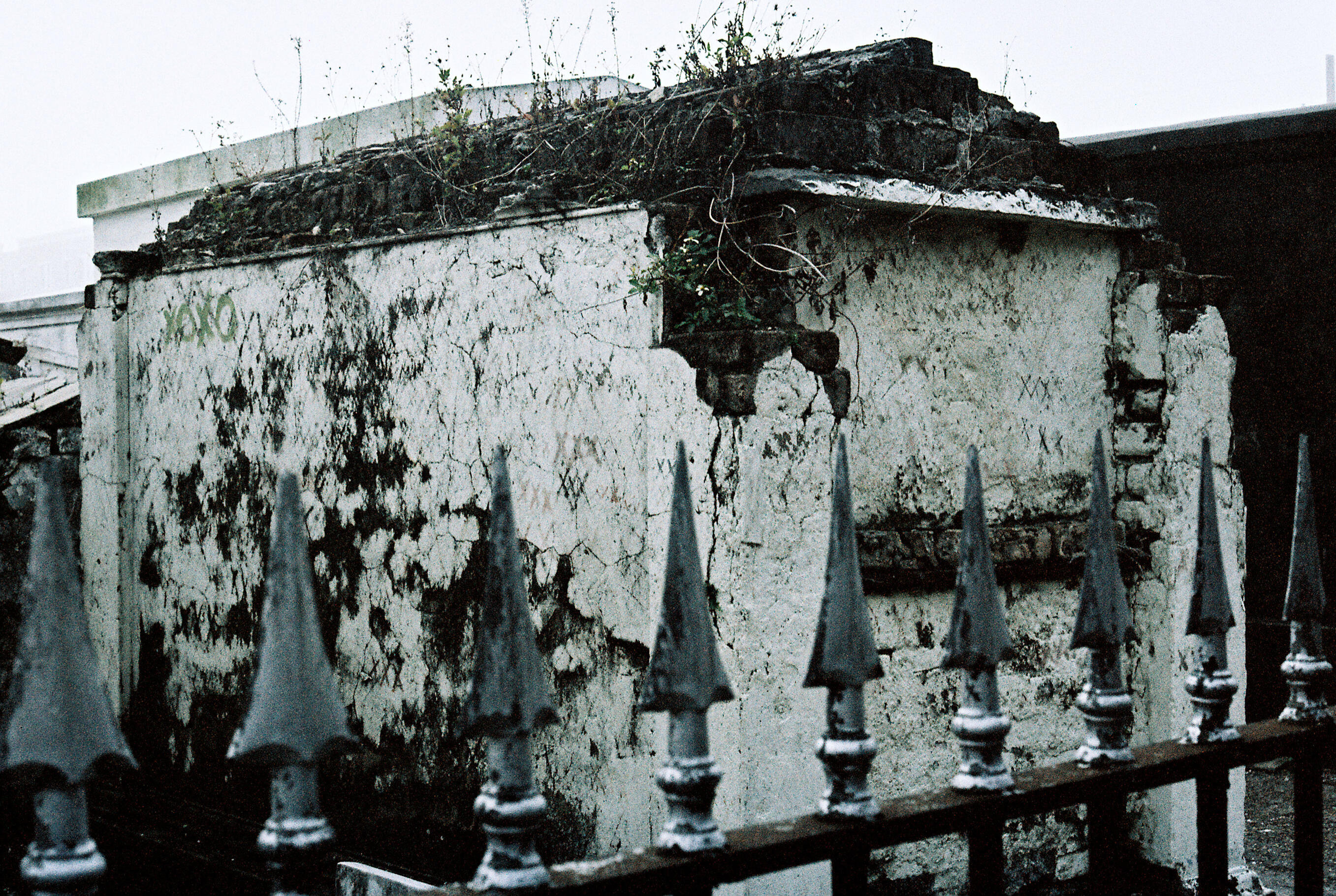 Home of the Witch Doctor. 2025.