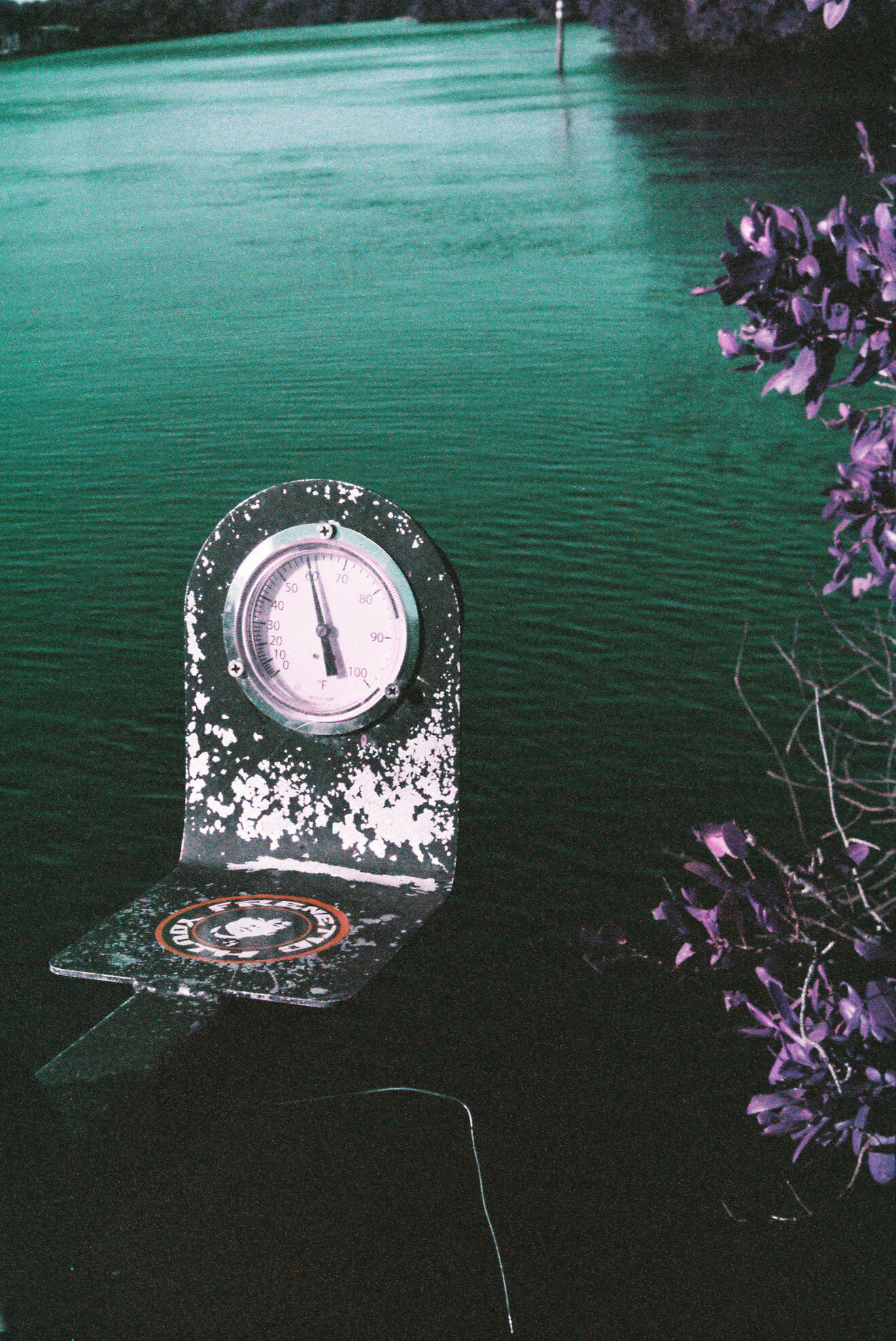 Manatee Park. 2026.