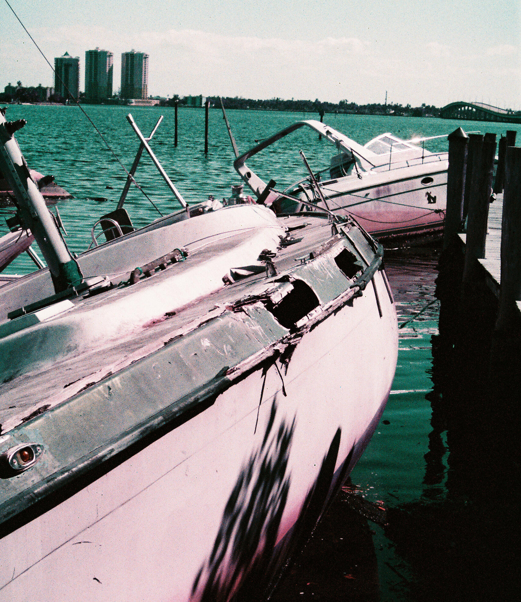 Ship's eye. 2026.